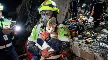 Una gata fue rescatada tras 23 días bajo los escombros tras los terremotos en Venezuela.