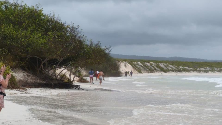 La playa Tortuga Bay cerrará temporalmente