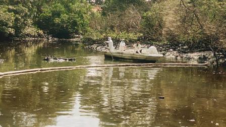 Derrame de contaminantes en la Reserva Manglares El Salado