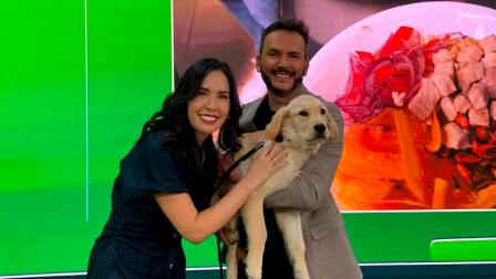 Verónica Álvarez nos visitó en esTAmañana para hablar del cuidado adecuado de las mascotas. La experta dio consejos para las personas que dejan solas a sus perros en la casa.