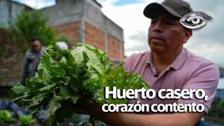 No hace falta vivir en el campo ni tener hectáreas de terreno. Cada vez más personas están transformando patios, balcones e incluso botellas recicladas en pequeños espacios verdes donde brota vida. Con un poco de tierra, semillas y ganas, es posible cosechar todo tipo de frutas, verduras y hierbas, sin químicos, sin intermediarios y con todo el sabor. Lo que empieza como una maceta puede convertirse en una fuente de alimento saludable, ahorro o un ingreso extra. Algunos incluso hacen trueque con lo que cosechan; otros simplemente disfrutan de comer lo que sembraron con sus propias manos. Hoy le mostramos cómo cultivar bienestar en su hogar a través de huertos caseros.