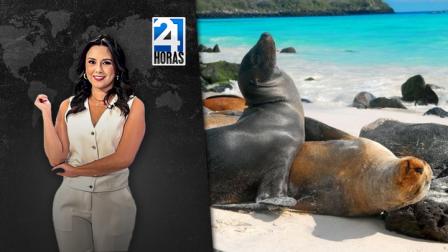 Revise las noticias más destacadas del Ecuador en nuestro Noticiero 24 Horas Emisión Central del domingo 15 de junio del 2025.