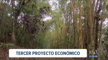 Este martes, el CAL prevé calificar el tercer proyecto de ley económica urgente enviado por el presidente Daniel Noboa. La propuesta permitiría a empresas privadas invertir y administrar áreas protegidas.
Un reportaje de Karen Haro