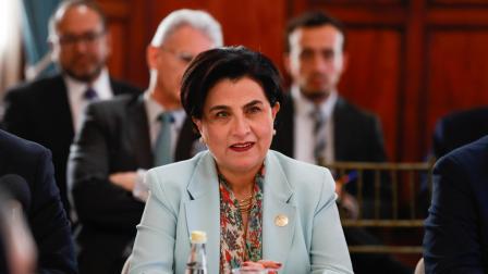 La canciller Gabriela Sommerfeld hizo el anuncio de un vuelo humanitario para ecuatorianos en Israel.