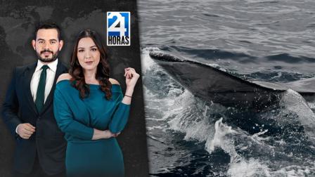 Revise las noticias más destacadas del Ecuador en nuestro Noticiero 24 Horas Emisión Estelar de este domingo 22 de junio del 2025. Con Valeri Villaba y Carlos Sacoto.