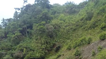 Pérdida de la mesa asfáltica en la vía Baeza - Papallacta este lunes 30 de junio del 2025