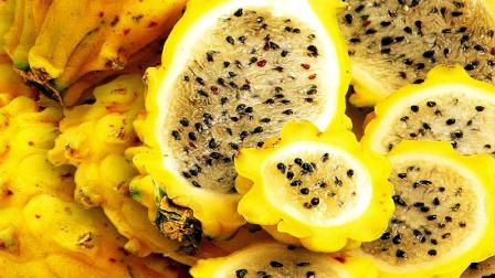 La pitahaya ecuatoriana es una de las frutas más exportadas a Perú.