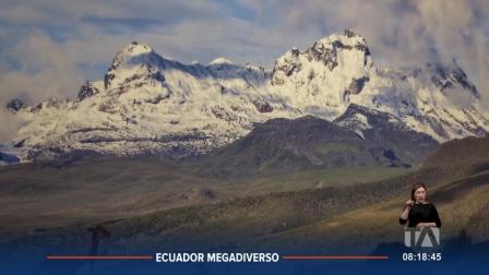 El 2025 fue declarado el año para la preservación de los glaciares, debido a que son ecosistemas en riesgo. Ecuador ha perdido cerca del 50% de su cobertura glaciar en los últimos 50 años.
Un reportaje de Nathalie Jiménez