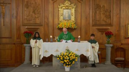 Mire aquí la misa del domingo 6 de julio del 2025 por Teleamazonas