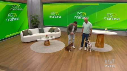 En Mundo Animal, Mauricio Dávila, educador canino, explica las técnicas para educar a las mascotas.