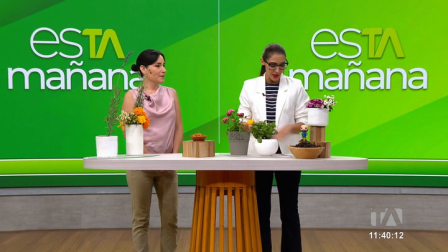 Isabel Espinosa, experta en plantas medicinales, explica que las flores no solo adornan, también sanan.