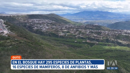 El bosque seco de Jalunguilla fue declarado 'Santuario de Vida Silvestre'. La reserva es ahora parte del subsistema de áreas naturales protegidas de Quito.

Un reportaje de Stephany Paz