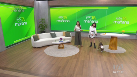 Andrea Gordón, educadora canina, habla de la depresión en mascotas, y las recomendaciones para evitarlas.