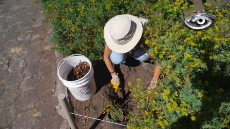 En Quito, muchas familias están aprendiendo a darle una segunda oportunidad a los restos de comida usando composteras comunitarias. Juntos, vecinos convierten basura en tierra fértil para sus plantas, huertos y parques. Conoce cómo pequeños cambios en casa pueden hacer una gran diferencia para la ciudad.