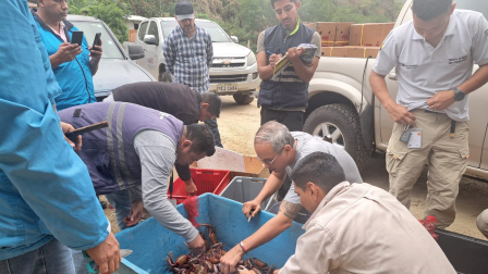 Personal de Senae decomisó los cangrejos en el Aeropuerto Mariscal Sucre de Quito