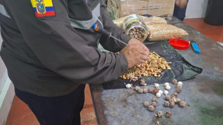 La droga fue detectada en frutos secos que estaba siendo trasladadas en dos frascos de vidrio.