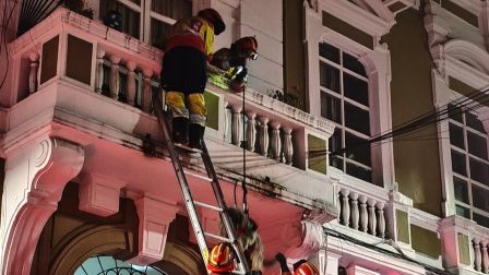 Bomberos de Quito rescataron a una perrita mientras paría a sus cachorros en un balcón.