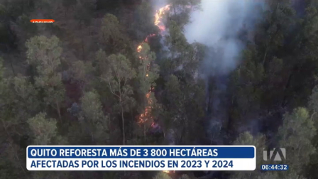 Quito avanza en la reforestación de zonas afectadas por incendios forestales. Entre 2023 y 2024, más de 3.800 hectáreas resultaron dañadas y hoy se siembran especies nativas como parte del plan de recuperación del Municipio.

Un reportaje de Ismenia Solórzano