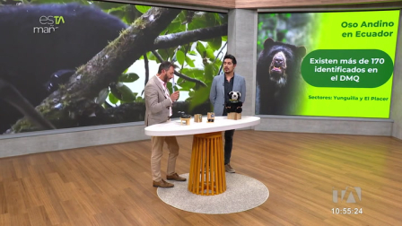 Andrés Laguna, director ejecutivo de BMC, una Organización No Gubernamental dedicada a la conservación de grandes mamíferos, explica la importancia de cuidar al Oso Andino ecuatoriano.