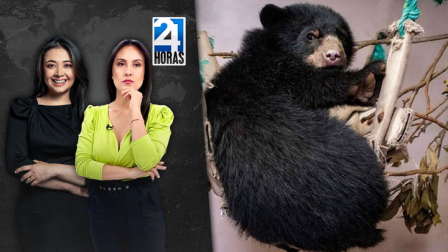 Revise las noticias más destacadas de Quito en la Emisión Central del Noticiero 24 Horas de este martes 5 de agosto del 2025. Con Andrea Samaniego y Stephany Paz.