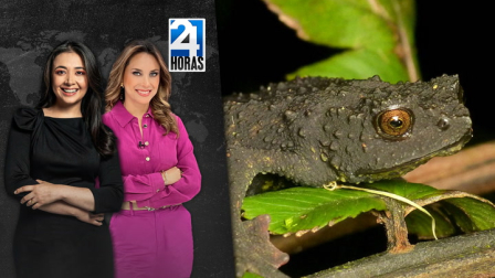 Revise las noticias más destacadas de Quito en la Segunda Emisión del Noticiero 24 Horas de este miércoles 6 de agosto del 2025. Con Andrea Samaniego y Gabriela Galárraga.