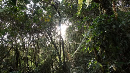 El Refugio de vida silvestre Machay es la nueva reserva natural de Ecuador