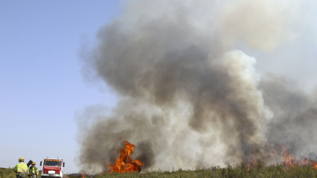 Los brigadistas trabajan en la extinción del Incendio forestal que afecta a Puercas (Zamora), en la Sierra de la Culebra, en España.