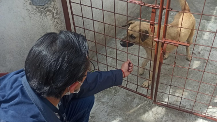 UBA tiene un canal de denuncias para atender casos de maltratos en Quito.