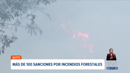 La Agencia Metropolitana de Control inició más de 100 procesos sancionatorios por incendios forestales en Quito, con multas que alcanzan los 35 mil dólares.

Un reportaje de Mishell Villacís