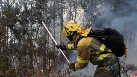 Dos bomberos fueron arrestados por migración mientras apagaban el fuego en Washington.