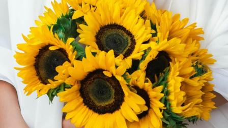 Cada 21 de septiembre las redes sociales se inundan de imágenes de flores amarillas.