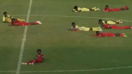 Un ataque de abejas se registró durante un partido de la Liga de Tanzania.m