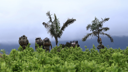 Colombia es uno de los países con mayor cantidad de plantaciones de Coca en la región.
