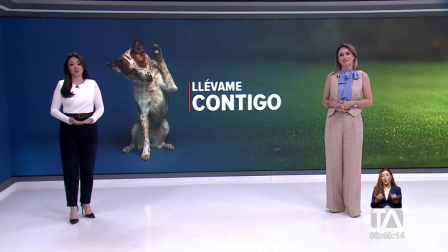 Un espacio dedicado a la adopción responsable, todos los animalitos fueron rescatados por la Unidad de Bienestar Animal del Municipio de Quito, muchos sufrieron abandono y maltrato.
