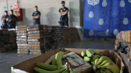 En Rusia fue hallado un cargamento con droga en un contenedor que transportaba banano.