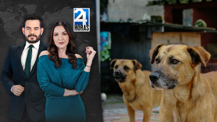 Revise las noticias más destacadas de Guayaquil en nuestro Noticiero 24 Horas Segunda Emisión de este jueves 25 de septiembre del 2025. Con Carlos Sacoto y Valerie Villalba.