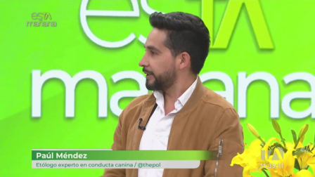 Paúl Méndez, experto canino, explica cómo las personalidades de los perros reflejan cada vez más las de quienes los cuidan. Descubre cómo hábitos, gestos y manías de tu mascota imitan tu vida diaria.