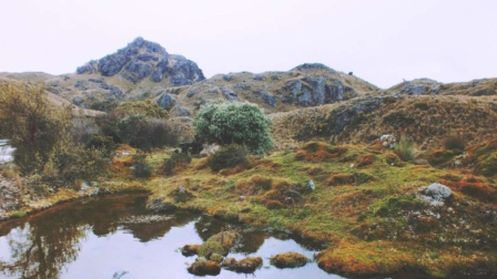 La licencia ambiental del proyecto Loma Larga fue revocado.