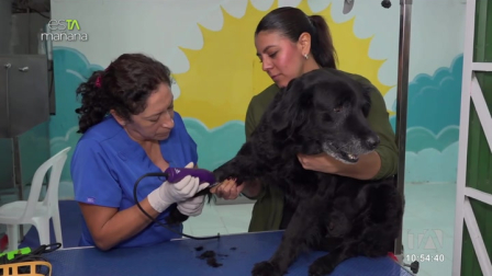 En esTAmañana, Andrea Galárraga nos cuenta sobre la campaña de esterilización gratuita enfocada en machos de perros y gatos, destacando la importancia del cuidado responsable de nuestras mascotas.