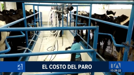 La provincia más afectada en estos 22 días de paro es Imbabura, donde los sectores ganadero, comercial y hotelero reportan más de 50 millones de dólares en pérdidas. Representantes de estos sectores solicitan al Gobierno medidas de reparación.

Un reportaje de María Fernanda Utreras