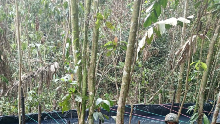 Un operativo del Ejército Ecuatoriano permitió encontrar una piscina de 8 000 galones de gasolina blanca.