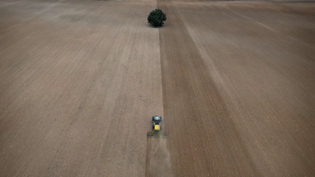 Un tractor siembra cereal en un campo de Caravaca, en Murcia.