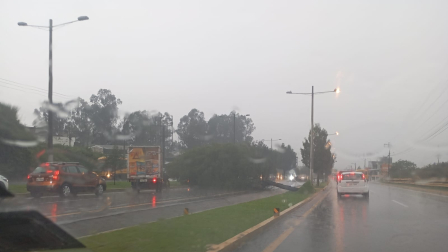 Dos árboles cayeron sobre la autopista General Rumiñahui por las fuertes lluvias de este miércoles.