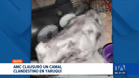 La Agencia Metropolitana de Control clausuró un camal clandestino que operaba en Yaruquí, al nororiente de Quito. En lo que va del año, la AMC ha suspendido 11 establecimientos que no contaban con permisos ni cumplían con las medidas de salubridad.
Un reportaje de Nathalie Jiménez