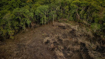 La expansión agropecuaria sigue siendo el principal motor del cambio de uso del suelo en el país
