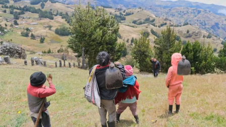 Cuatro niños y una adolescente viven abandonados en el páramo de Bolívar.