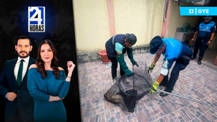 Revise las noticias más destacadas de Guayaquil en nuestro Noticiero 24 Horas Segunda Emisión de este viernes 7 de noviembre del 2025. Con Carlos Sacoto y Valerie Villalba.