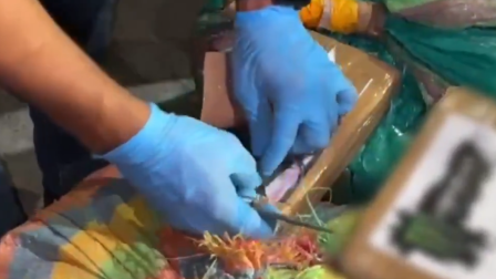 Operativo Centinela 90 permitió el decomiso de dos toneladas de droga en Galápagos