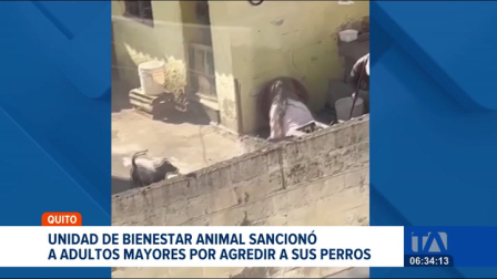 Dos personas fueron sancionadas con una multa superior a once mil dólares en Quito, tras ser captadas golpeando a sus perros. El caso se conoció luego de la difusión de un video en redes sociales donde se observa a dos adultos mayores agrediendo a sus mascotas.

Un reportaje de Mishell Villacís