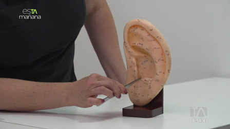 La terapia en la que se escanea el cuerpo en la oreja. Es una técnica de medicina alternativa que se basa en la estimulación puntos específicos en la oreja para tratar y diagnosticar dolencias.